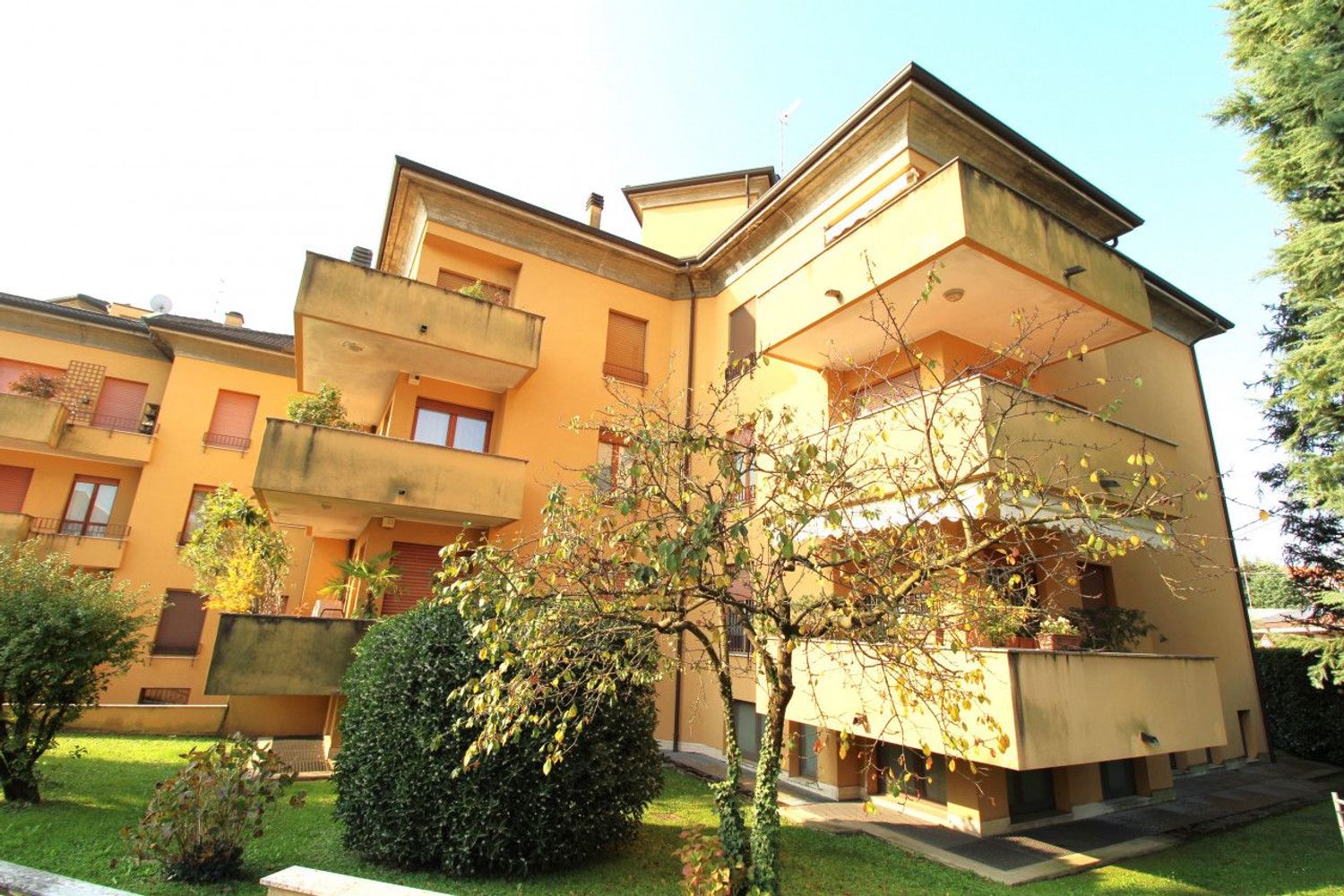 BIASSONO285